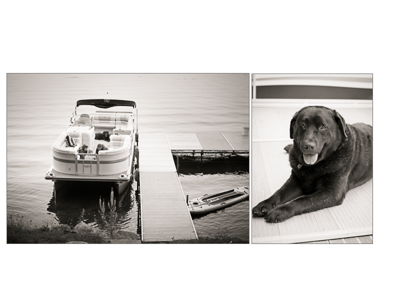 A chocolate labrador dog relaxes on the deck of a boat on a Michigan lake